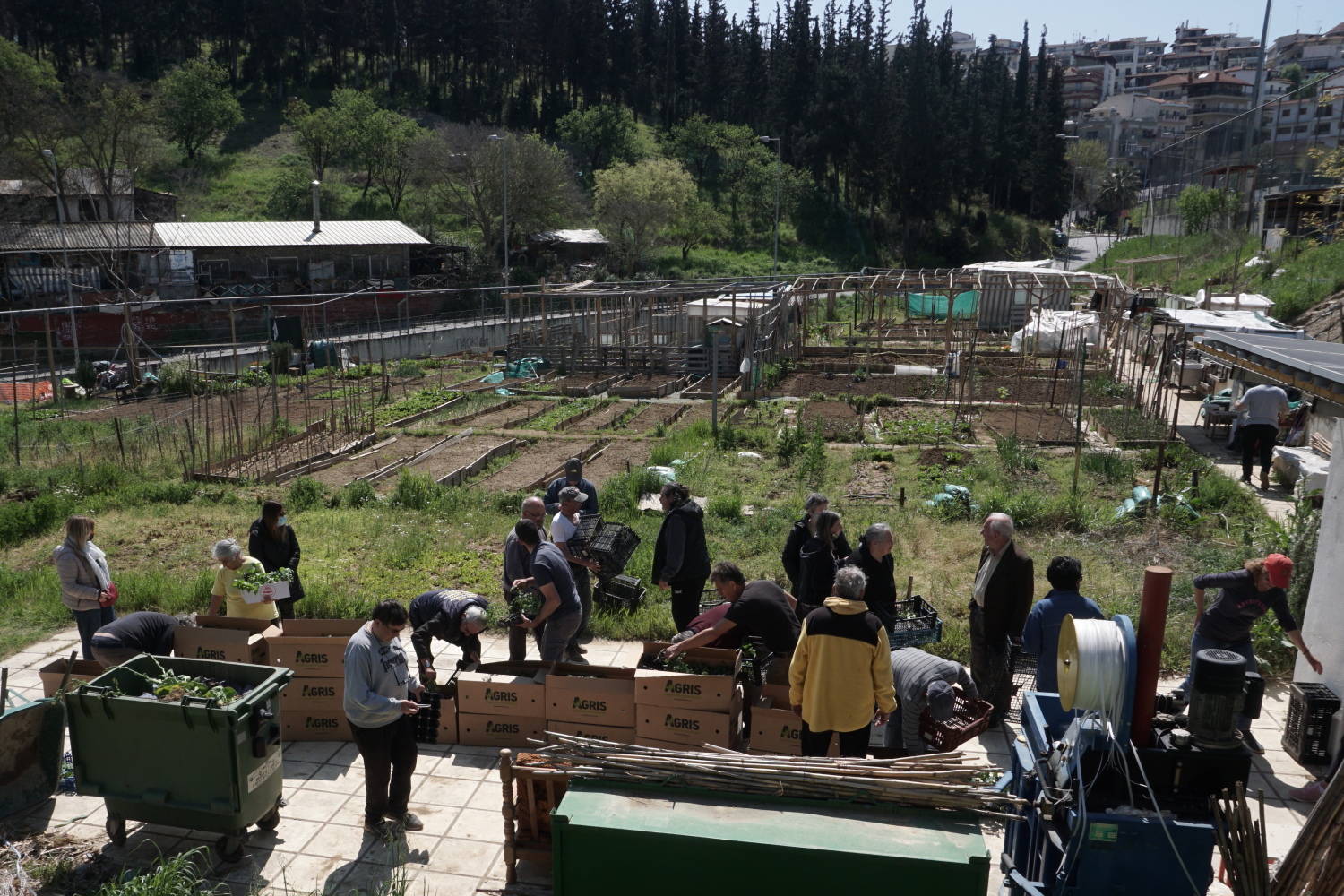 Εκατό δωρεάν κηπάρια προς καλλιέργεια σε ευπαθείς ομάδες πληθυσμού