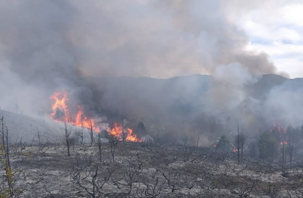 Φωτιά στον Πάρνωνα: Ολονύχτια μάχη με τις φλόγες – Συνεχίζεται η προσπάθεια κατάσβεσης