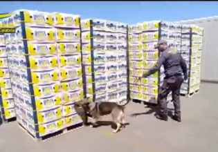 Ναρκωτικά: Κατασχέθηκαν 654 κιλά κοκαΐνης στην Ιταλία, με προορισμό την Θεσσαλονίκη