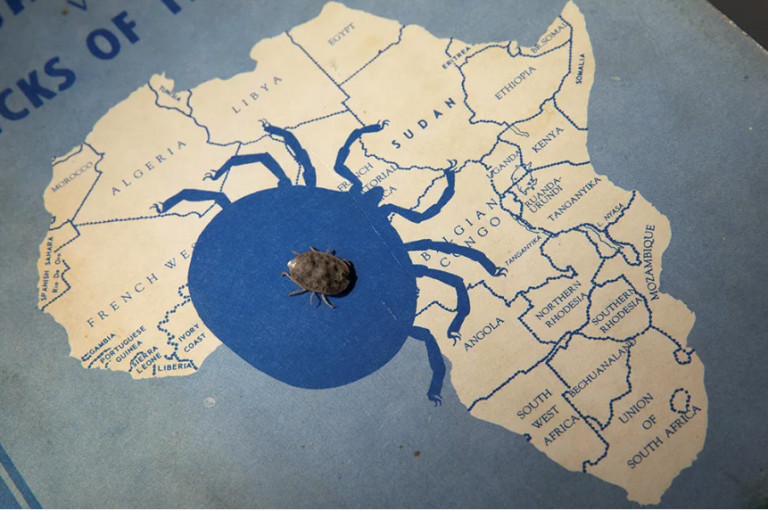 Η ιστορία των τσιμπουριών που έζησαν 8 χρόνια χωρίς τροφή