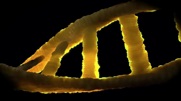 Τελευταίο κομμάτι στο παζλ: Δημοσιεύτηκε το πρώτο πλήρες ανθρώπινο γονιδίωμα