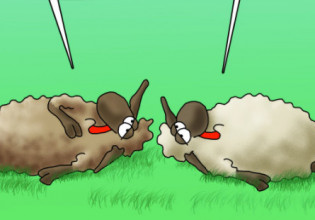 Αρκάς: Το σκίτσο που δείχνει την αγωνία των αρνιών για το Πάσχα