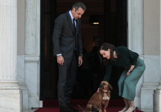 Πίνατ: Υποδέχτηκε τη Φινλανδή πρωθυπουργό στο Μαξίμου