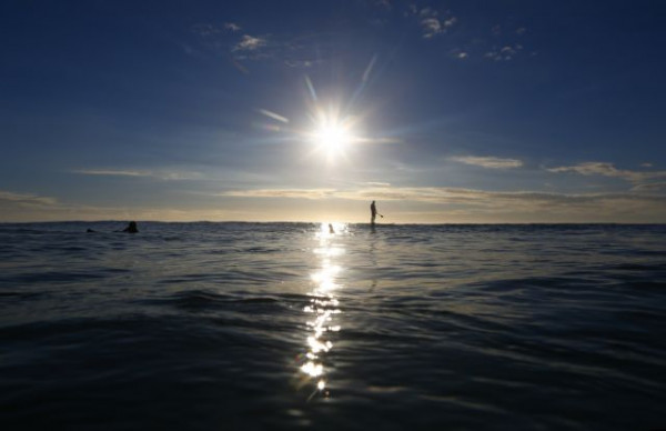 Κλιματική αλλαγή: Τα θαλάσσια είδη απειλούνται με μαζική εξαφάνιση