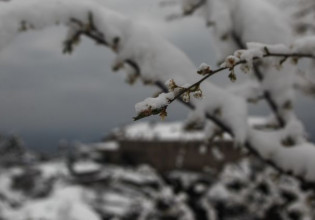 Καιρός: Ο Μάρτιος 2022 ένας από τους ψυχρότερους των τελευταίων 40 ετών, σύμφωνα με το meteo