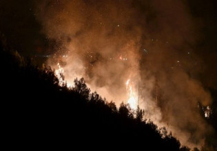 Φωτιά στην Ηλεία: Σε ύφεση αφού έκαψε 1.000 στρέμματα δάσους