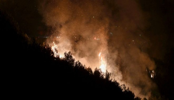 Φωτιά στην Ηλεία: Σε ύφεση αφού έκαψε 1.000 στρέμματα δάσους