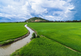 «Πρασίνισμα»: Εφαρμογή των παρεκκλίσεων για το έτος υποβολής αιτήσεων 2022