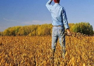 Αγρανάπαυση: Αναστολή του μέτρου για 380.000 στρέμματα