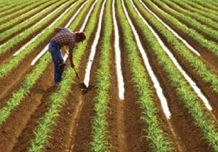 ΕΛΣΤΑΤ: Ιδιαίτερα αυξημένο παραμένει το κόστος παραγωγής