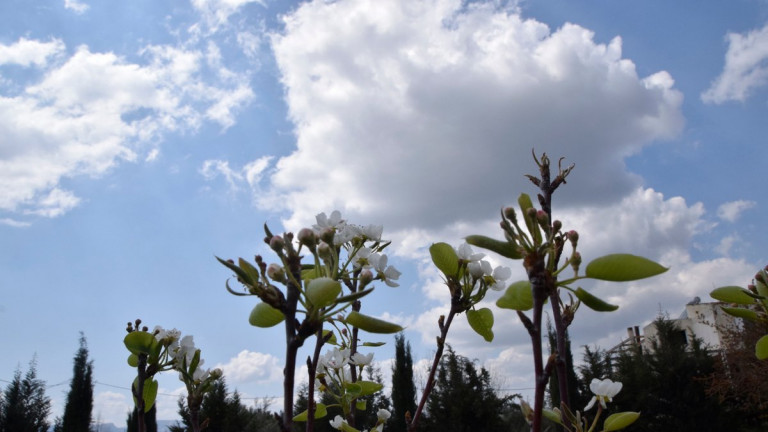 Η δολοφονία της άνοιξης