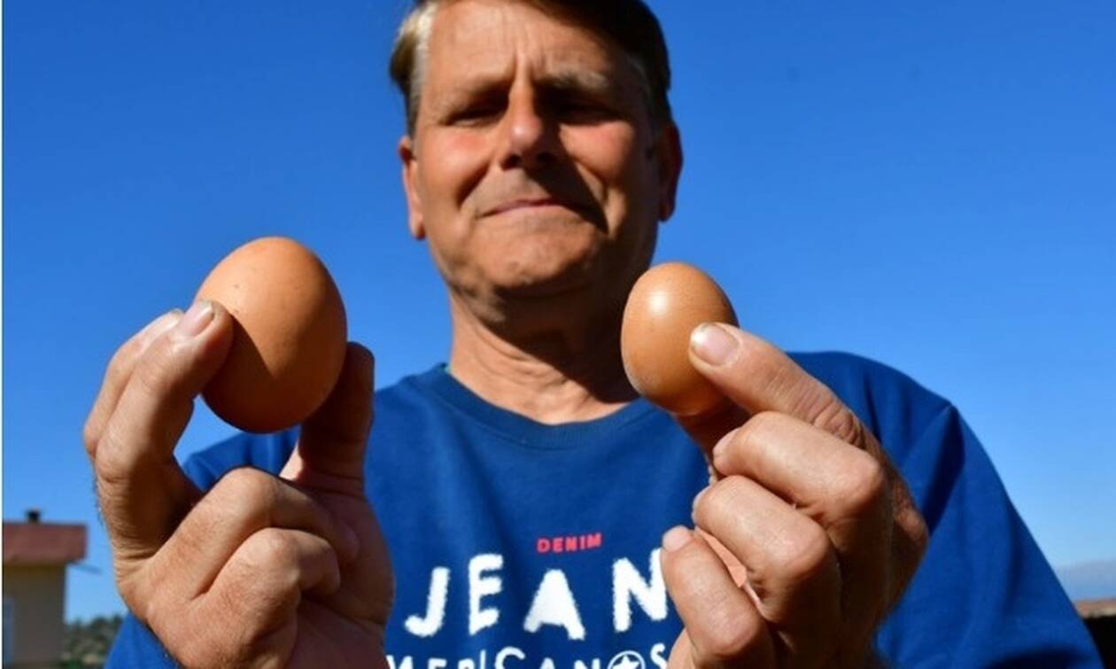 Αυγό... για ρεκόρ Γκίνες στο Ναύπλιο – Πόσο ζυγίζει [Δείτε βίντεο]
