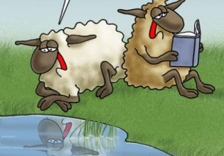 Αρκάς: Η καλημέρα με το αρνί που ανησυχεί για τις… ρυτίδες