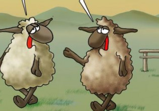 Αρκάς: Καλημέρα με… κάποιους να ανησυχούν για το Πάσχα