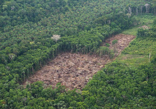 Μέλη του βραζιλιάνικου στρατού διέδιδαν fake news στο Facebook για την καταστροφή του Αμαζονίου