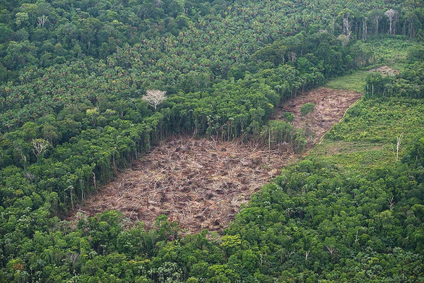 Μέλη του βραζιλιάνικου στρατού διέδιδαν fake news στο Facebook για την καταστροφή του Αμαζονίου