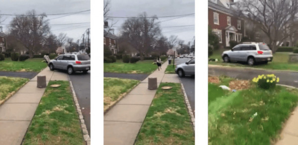 ΗΠΑ: Οδηγός – δολοφόνος πάτησε και ξαναπάτησε με το τζιπ του πεζή που τον είχε τσαντίσει