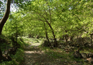Μιχάλης Γκανάς: Και σφύριζα θυμάμαι το Χριστός Ανέστη