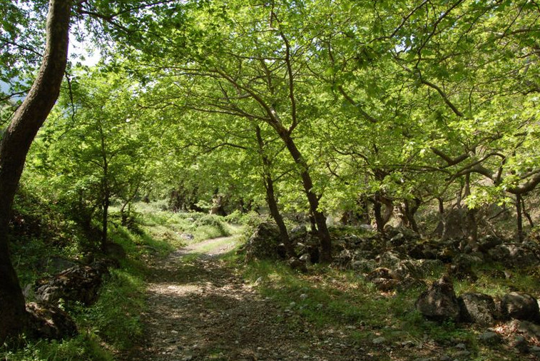 Μιχάλης Γκανάς: Και σφύριζα θυμάμαι το Χριστός Ανέστη