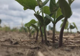 ΕΕ: Προς μία γεωργία χαμηλών εκπομπών άνθρακα