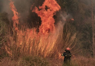Συναγερμός στην Πυροσβεστική – Φωτιά σε αγροτοδασική έκταση στην Βοιωτία