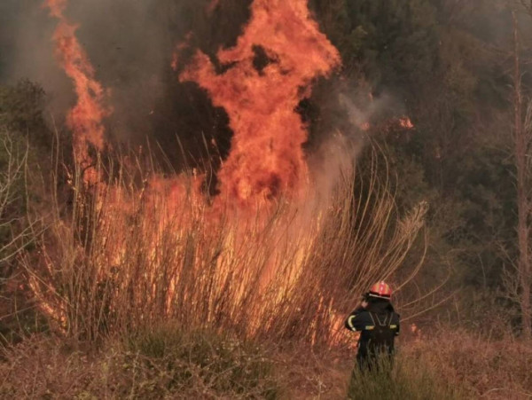 Συναγερμός στην Πυροσβεστική – Φωτιά σε αγροτοδασική έκταση στην Βοιωτία