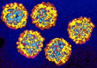 Ηπατίτιδα: Γιατροί στη Βρετανία ζητούν από τους γονείς να παρακολουθούν τα παιδιά τους – Τα έξι συμπτώματα