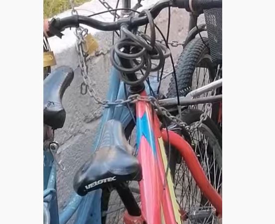 Λάρισα: Λαχτάρησαν όταν είδαν φίδι σε προφυλακτήρα ποδηλάτου - Χρειάστηκε η επέμβαση της Πυροσβεστικής