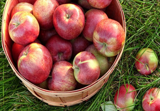 Αποθέματα: Αυξημένες οι ποσότητες μήλων σε Ευρώπη και ΗΠΑ