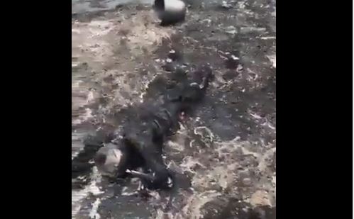 Νιγηρία: Τουλάχιστον 80 νεκροί από έκρηξη σε παράνομο διυλιστήριο