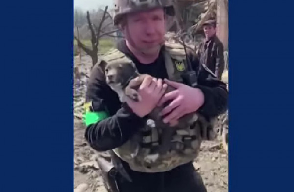 Ουκρανία: Κουτάβι ανασύρθηκε ζωντανό από τα συντρίμμια βομβαρδισμένου κτηρίου