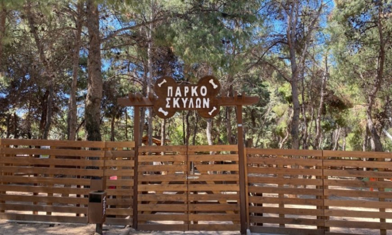 Πάρκα για σκύλους: Εννιά δήμοι έφτιαξαν επίγειους παράδεισους
