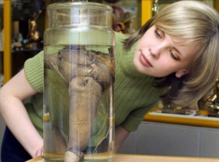 Μουσείο πέους: «Προικισμένοι» άνδρες θα δωρίσουν τα όργανα τους όταν πεθάνουν