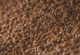 Ουκρανία: Κατηγορεί τον ρωσικό στρατό ότι κλέβει τα σιτηρά από τα εδάφη που έχει καταλάβει