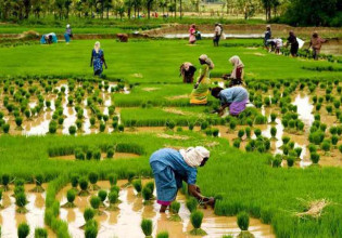 Επισιτιστική κρίση: Μπορεί η Ινδία να ταΐσει τον πλανήτη;