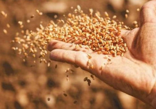 Η συνέχιση του πολέμου ενισχύει τις τιμές αγροτικών προϊόντων