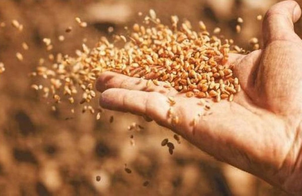 Επισιτιστική επάρκεια: Αξιοποίηση των ακαλλιέργητων εκτάσεων του Δημοσίου προτείνει το ΕΒΕΘ