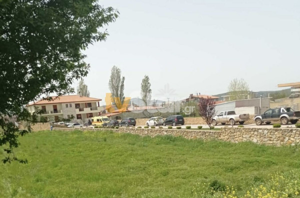 Καλλιακμάνης για εκτέλεση Σκαφτούρου: Ο μέσος όρος ζωής των “νονών” της νύχτας είναι 40-45 έτη – Αυτό είναι το λάθος των δραστών