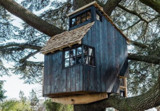 Μπορεί ένα δεντρόσπιτο να συμβάλει στην αποκατάσταση της βιοποικιλότητας;