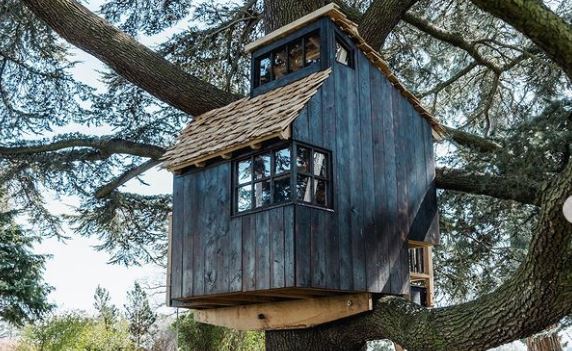 Μπορεί ένα δεντρόσπιτο να συμβάλει στην αποκατάσταση της βιοποικιλότητας;