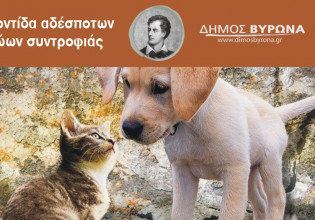 Βύρωνας: Φωτίζει τον κόσμο των αδέσποτων ζώων