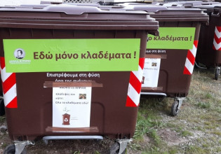 Ούτε ένα κλαδί στον δρόμο