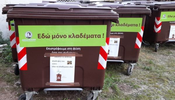 Ούτε ένα κλαδί στον δρόμο