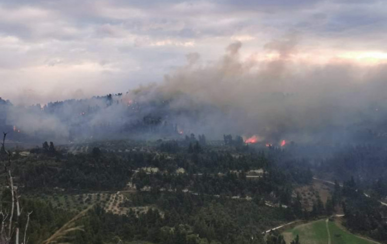 Χαλκιδική: Φωτιά σε δύσβατη δασική περιοχή στη Μόλα Καλύβα – Ενισχύονται οι δυνάμεις της πυροσβεστικής