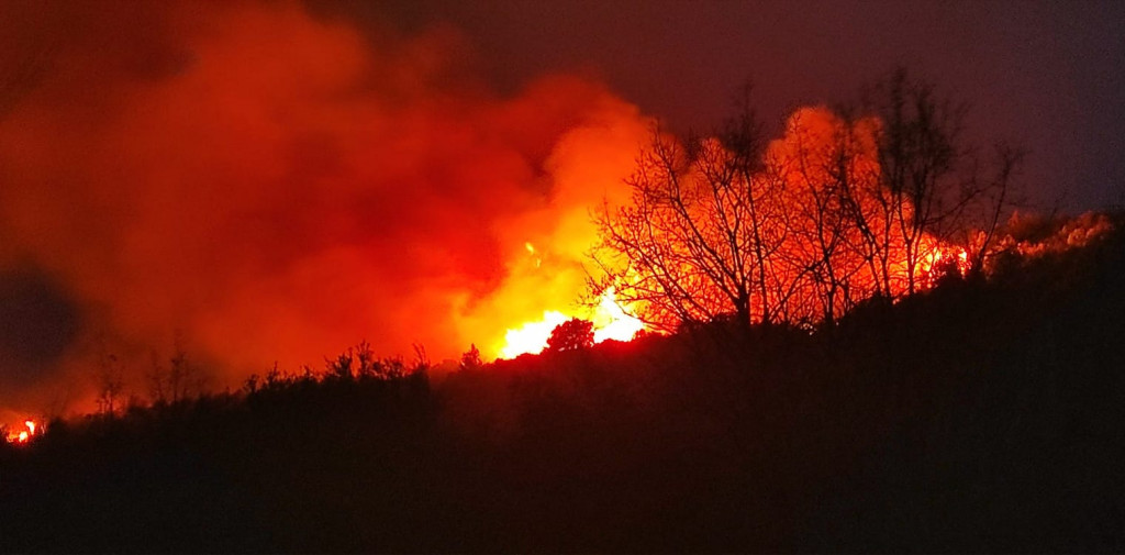 Ηλεία: Καίγεται δασική έκταση στην περιοχή Λιβαδάκι