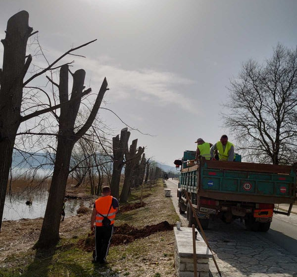 Παραλίμνια δεντροφύτευση Ιωαννίνων