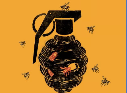 Ουκρανία: «Γκρίζες μέλισσες» - Ένα συγκλονιστικό βιβλίο για την Ουκρανία
