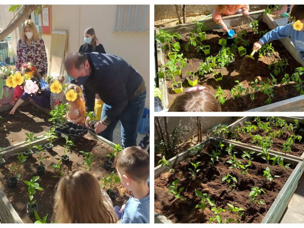 Ηράκλειο: Ένας λαχανόκηπος σε κάθε σχολείο