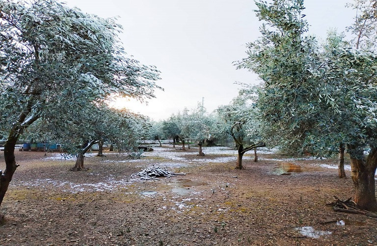 Καιρός: Παγετός σε πολλές περιοχές της Βόρειας Ελλάδας