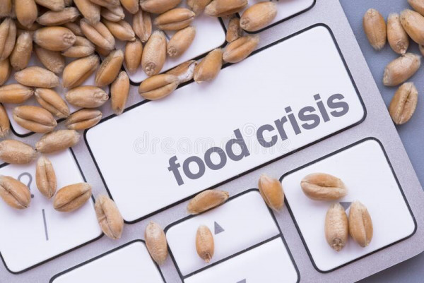 Παγκόσμιο χρέος και επισιτιστική κρίση